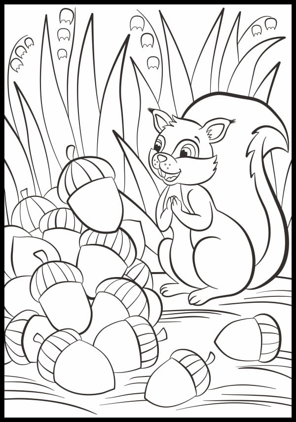 Online coloring book: Coloring page of a happy squirrel among acorns